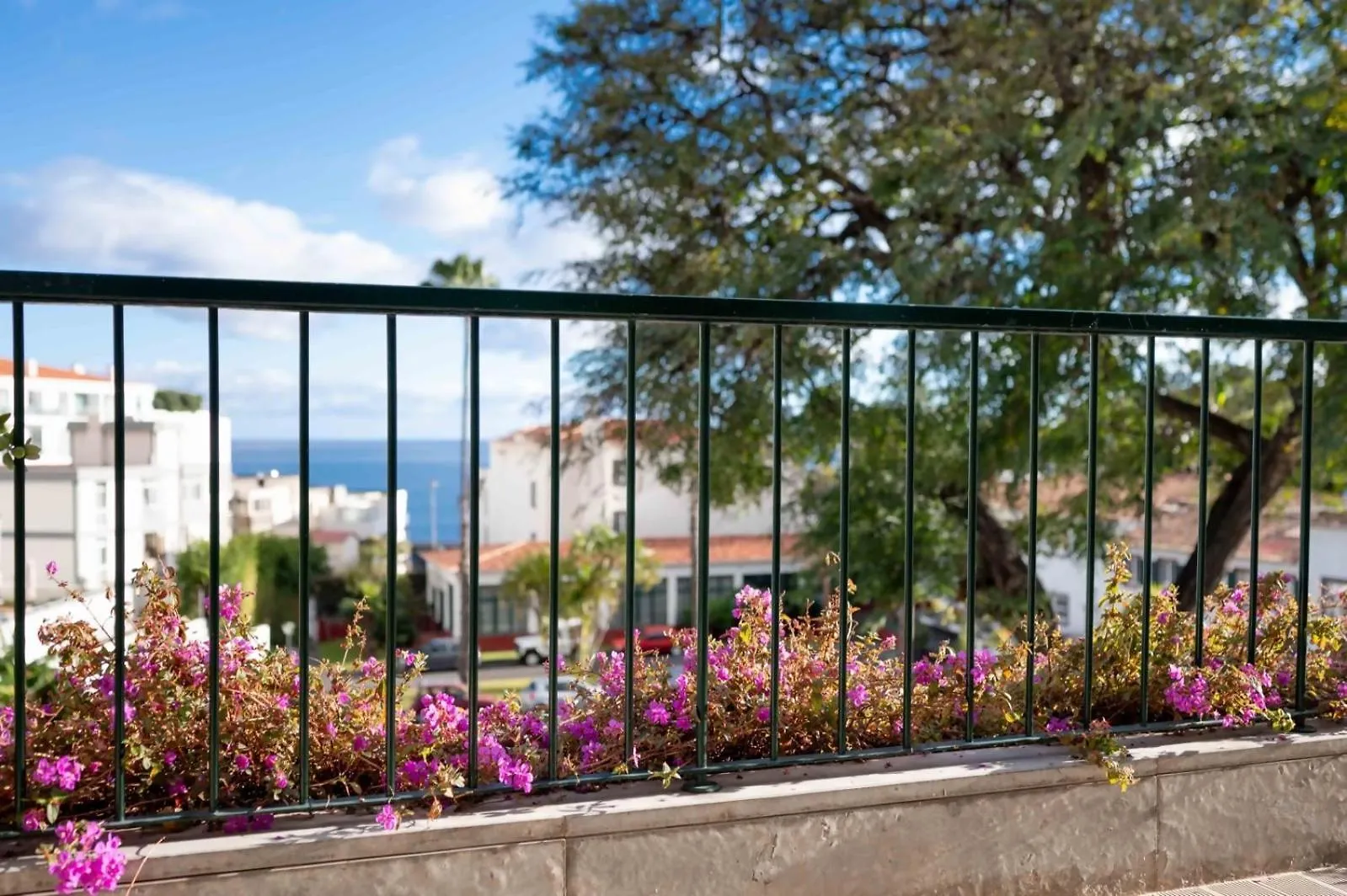 Madeira Precious Family Apartment